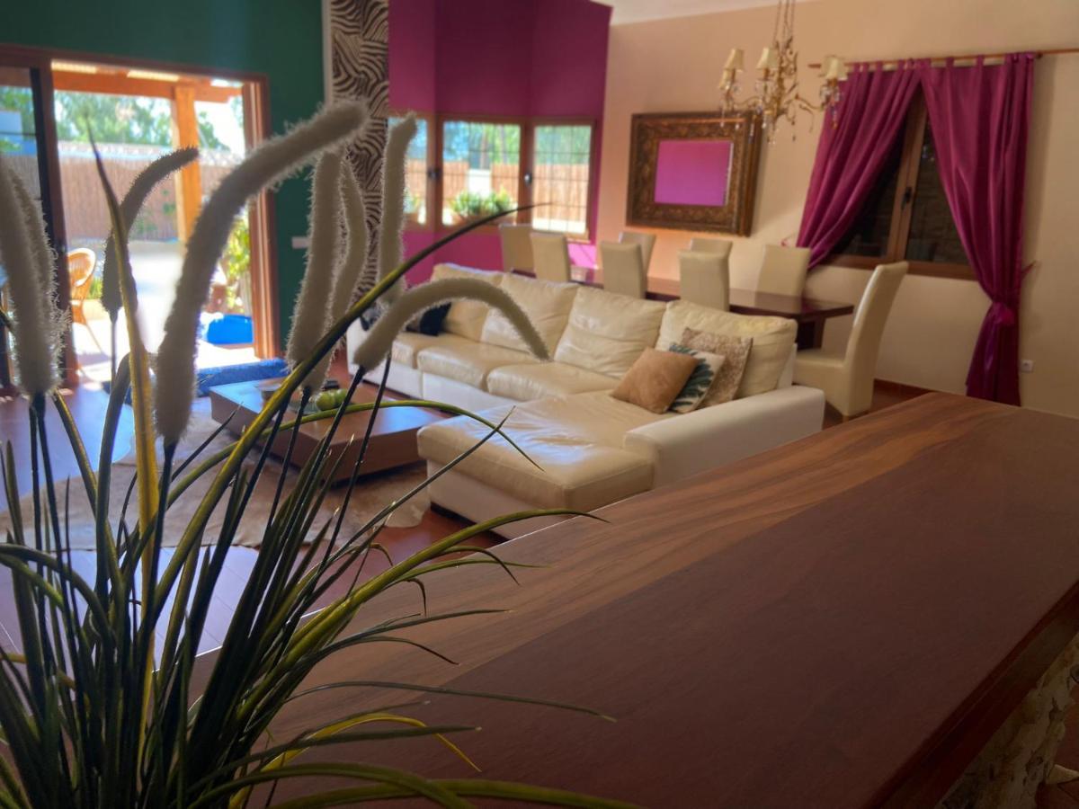 Ingrid. Piscina Exterior. Las Playas